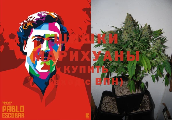PSILOCYBIN Пестово