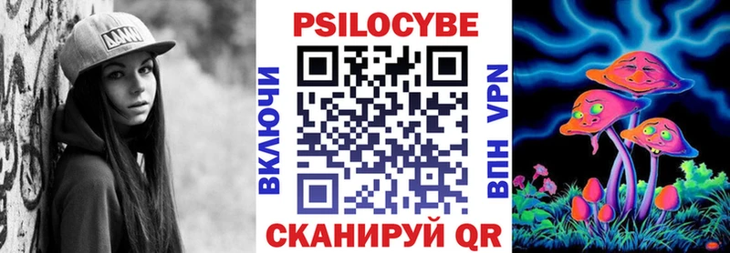 где найти наркотики  Вилюйск  Псилоцибиновые грибы Psilocybe 